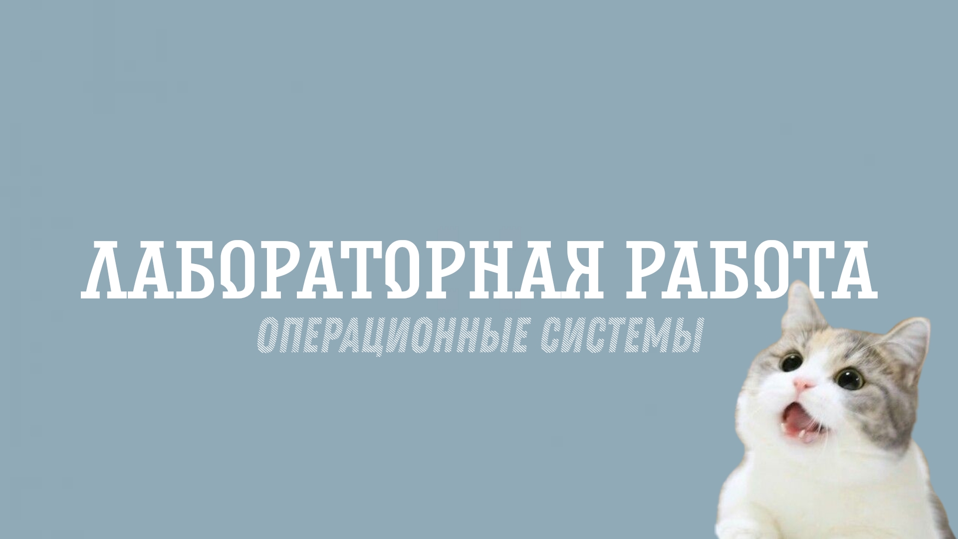 Лабораторная работа №12 смотреть онлайн