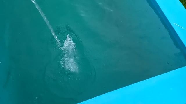 Чистая вода в бассейне. Без Перекиси, Зеленки, Купороса смотреть онлайн