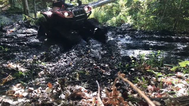 Yamaha Grizzly 660 with TJD Tracks in the MUd смотреть онлайн
