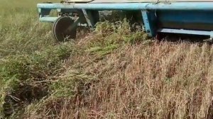 ЮМЗ-6 и ЖВП-4.9 жатка косим на свал зерновые 26.08.2021г.