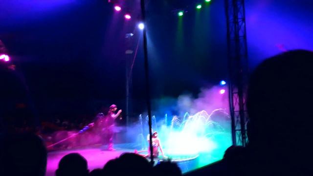 ЦИРК НА ВОДЕ SHEKERA / ЧАСТЬ 2 смотреть онлайн