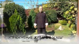 Хуашаньская школа Дао