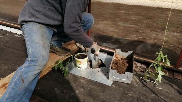 Строительные Прогнозы