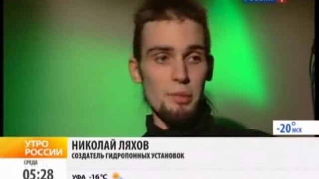 Помидоры в квартире гидропоника смотреть онлайн