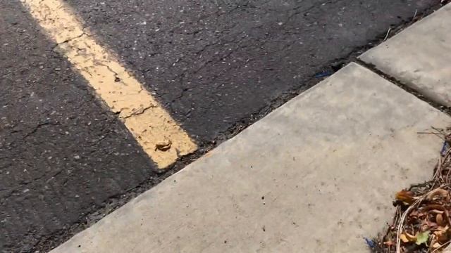 How to Start Your Vehicle When Your Starter is Bad or Won't Start смотреть онлайн