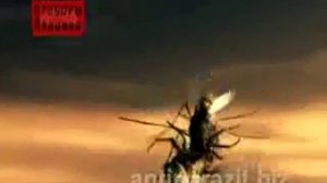 Паразиты живущие под кожей. Оводы. Глисты..flv
