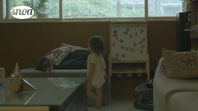 XT3 vs 80D | The right B-cam for my C300II? | The Result Surprised Me! | SNOA – Episode 12 смотреть онлайн