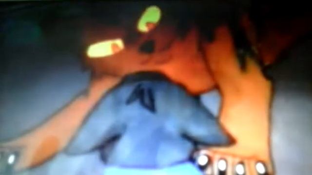 История Бича коты воители