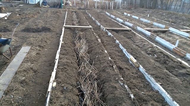 Урожайная грядка Розума в Красной Горбатке! смотреть онлайн