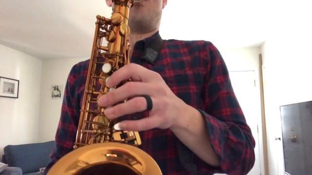 Selmer Reference 54 Alto Saxophone Demo, www.dcsax.com смотреть онлайн