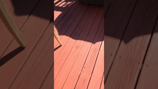 Veranda Lane - 2 смотреть онлайн