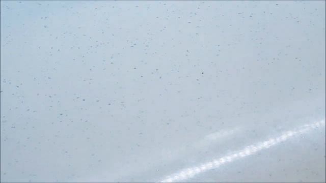 Секреты Таланта