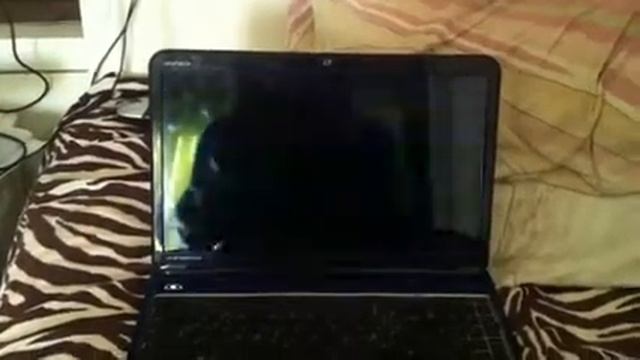 Dell inspiron n5110 смотреть онлайн