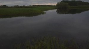 Рыбалка в Томской области (Каргасок)