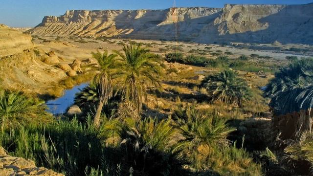 Оман | Осмотр достопримечательностей #showplace смотреть онлайн