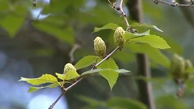 Провинциалы. 21.09.2016