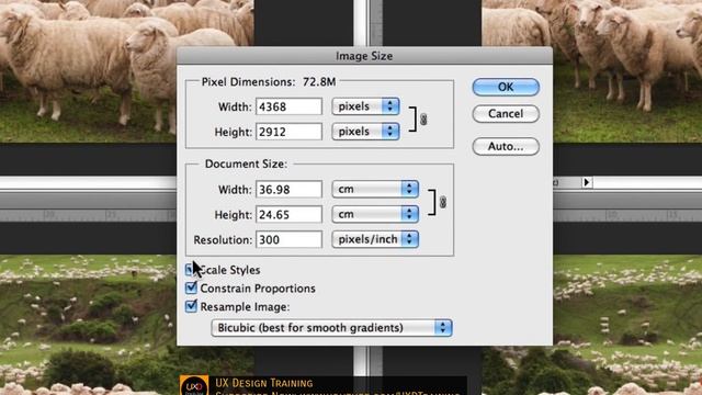 How To Resize Images In Photoshop (in Hindi) смотреть онлайн