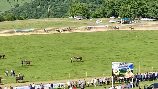 Скачки Беной 24.06.2023 на 9 круг смотреть онлайн