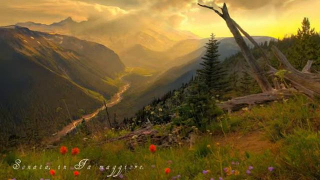 G. D. Scarlatti - Sonata (S. Crisafulli, Akkordeon) смотреть онлайн