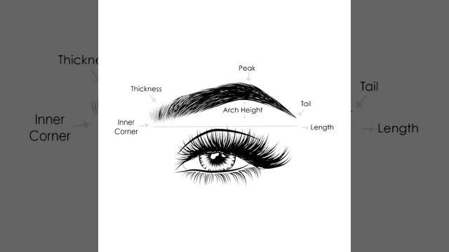 ღ your lashes and brows are perfect! ~ lash extensions and microblading procedure ? смотреть онлайн