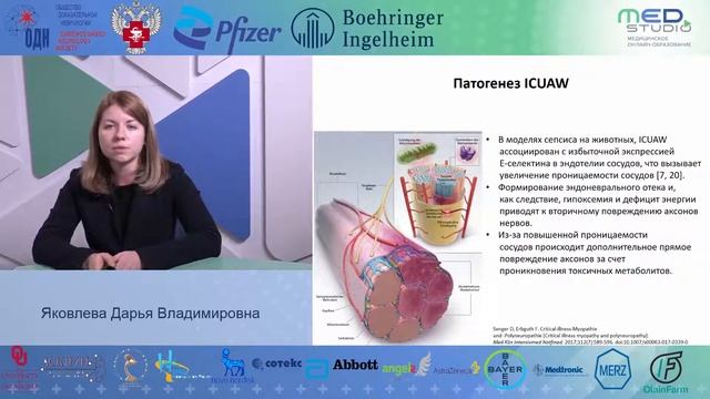 Серия клинических наблюдений в ОАРИТ. Яковлева Дарья Владимировна смотреть онлайн