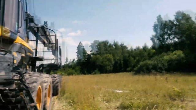 Беспорядочная массовая вырубка леса в Рузском округе на землях сельхозназначения смотреть онлайн