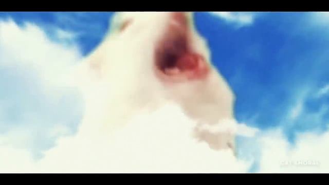 Astronomia - Coffin Dance Meme - Cats Cover смотреть онлайн
