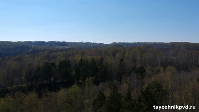 Однодневный поход на Березовские скалы Очищение мозгов и ЖКТ смотреть онлайн