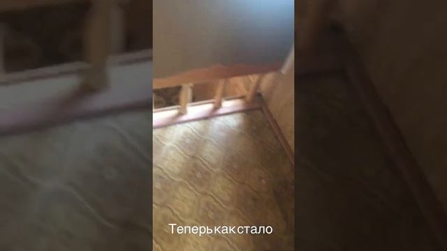 Уборка дачи бесплатно ! Волгоград смотреть онлайн