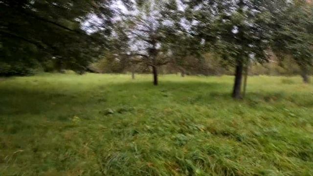 Сбор грибов / Россия - Германия / Омск - Hechingen / смотреть онлайн