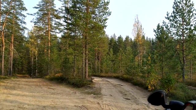 Отдых в лесах за Тихвином - почти Карелия | сентябрь 2020 смотреть онлайн
