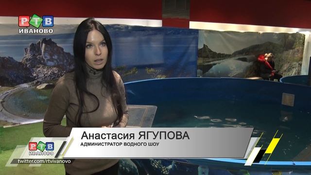 Малышня байкальских нерп ждет в гости смотреть онлайн