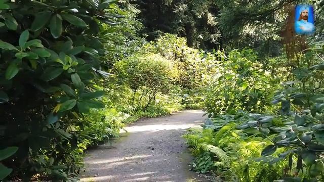 Ченнелинг Эль Мория "Блеск глаз и Свет Души". О духовной связи с Абсолютом, основой Души 31.01.2014 смотреть онлайн