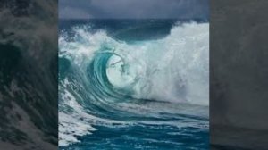 Цунами 2005 год