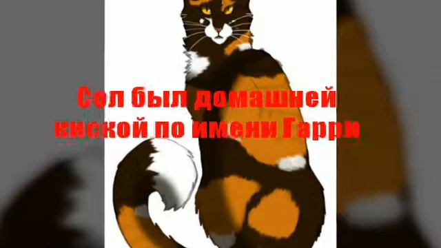 10 фактов о котах воителях смотреть онлайн