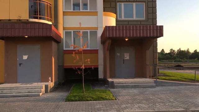 Бутово парк 2б - 17 корпус (25.06.2016) смотреть онлайн