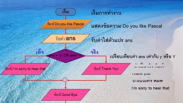 การเขียนผังงานเบื้องต้น смотреть онлайн