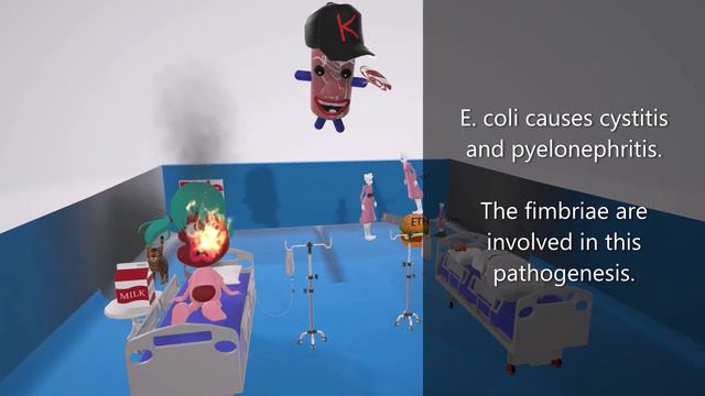 E. coli (Mnemonic for the USMLE) смотреть онлайн