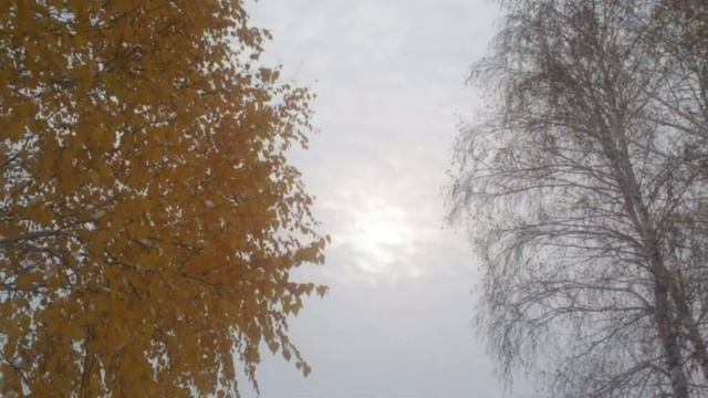 Поздняя осень