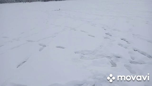 Рыбалка на жерлицы. Зима 2022 - 2023 г.г. смотреть онлайн