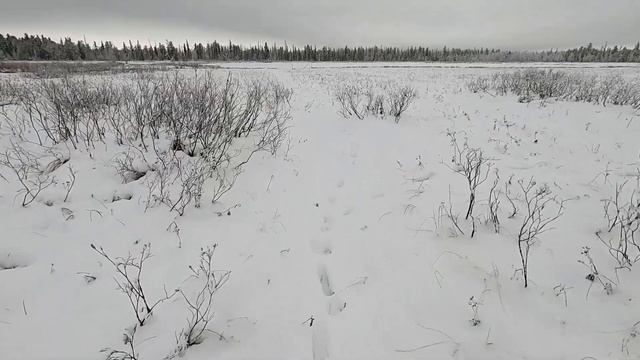 РЫБАКИ РЫБАЧИЛИ)... ВЫ НЕ ПОВЕРИТЕ НО ТАК ВСЁ И БЫЛО), НА ЗИМНЕЙ РЫБАЛКЕ В ПЕРВЫЙ ЛЁД! смотреть онлайн