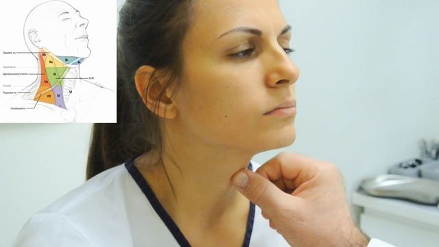 ENT Examination Of The Neck