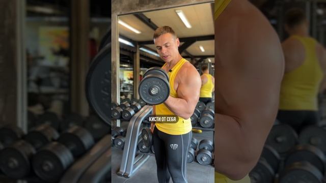 КАК НАКАЧАТЬ БИЦЕПС ГАНТЕЛЯМИ? смотреть онлайн