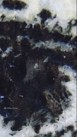 Zooming into a one Dollar note #Shorts смотреть онлайн