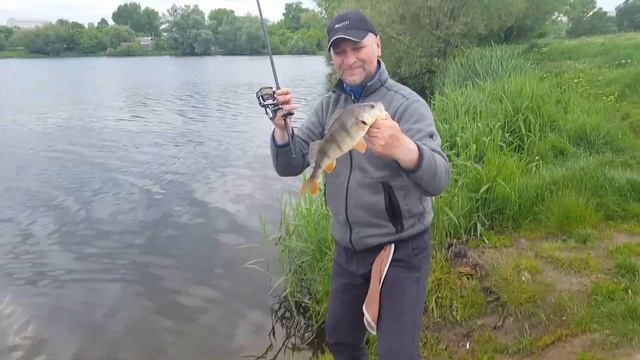 #blackbaits online Breaden Glamour Rock Fish Trevalism Kabin смотреть онлайн