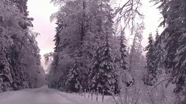 Между Ушково и Серово смотреть онлайн