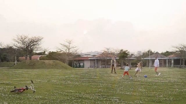 Best DSLR Cameras 2019 - Top 10  Beginners