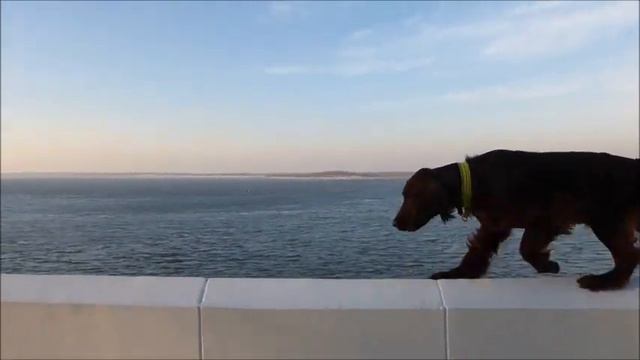 Набережная