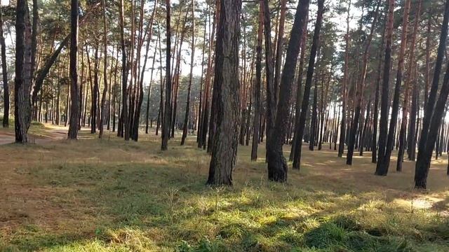 Дыхание Осени -Сергей Грищук