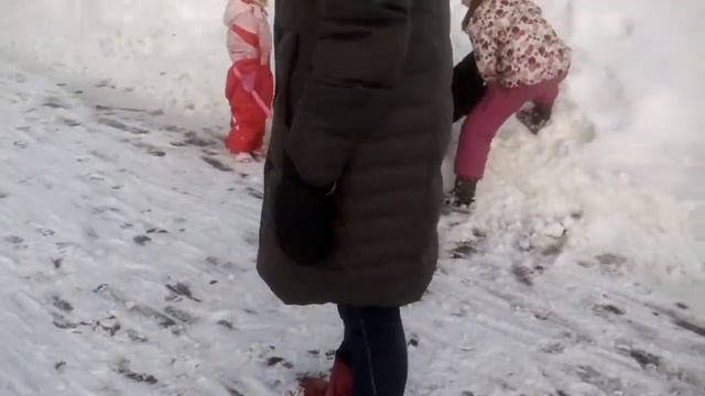 Энтлебухер Вольт и Базилика из Графства Де Гамба гуляют смотреть онлайн